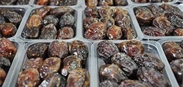 تولید سالانه ۱۴۸ هزار تن خرما در هرمزگان