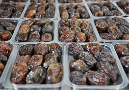 تولید سالانه ۱۴۸ هزار تن خرما در هرمزگان