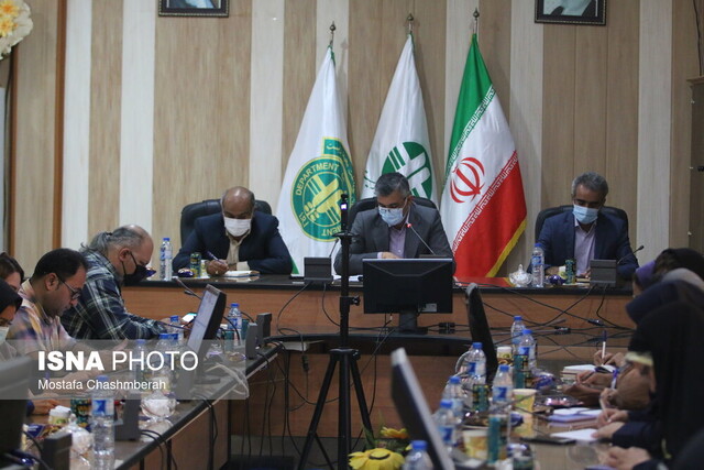 حبیب مسیحی تازیانی : خطر انقراض ۳۷ گونه جانوری در هرمزگان