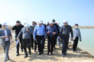 صولت مرتضوی : طرحهای پرورش میگو میتوانند تحولی در عرصه اشتغالزایی ایجاد کنند