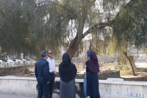 حمام گپ بندرعباس دارای دو مالکیت خصوصی و دولتی است