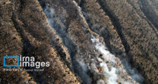 آتش سوزی منطقه هماگ بندرعباس