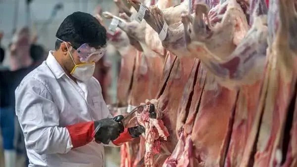 هشدار و آمادگی؛ ۴۰ گروه تخصصی دامپزشکی در میدان ذبح دام هرمزگان