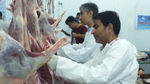 آغاز طرح نظارت کامل بر کشتارگاه‌های هرمزگان در عید قربان