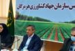 بهره برداری از ۳۹ طرح در بخش کشاورزی هرمزگان