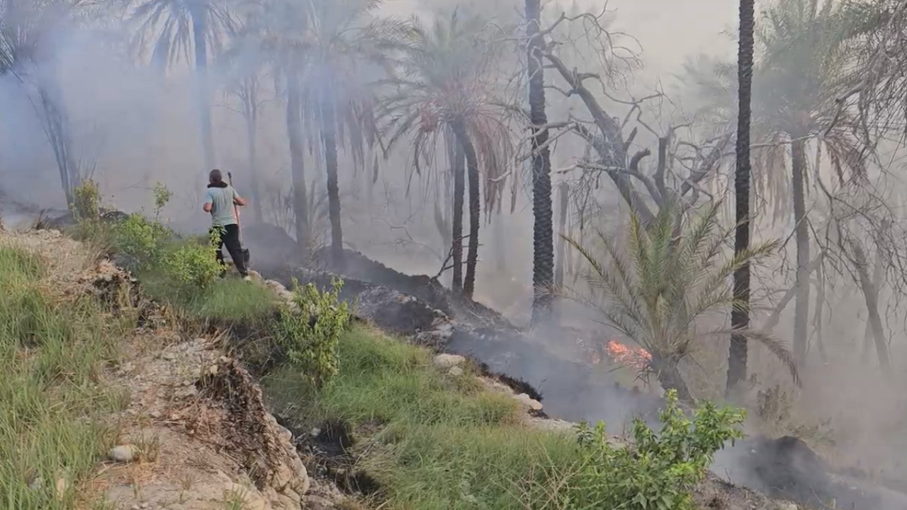 آتش سوزی در باغ‌های روستای سُنخُرو پشتکوه بخش شمیل + فیلم