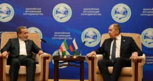 تاکید عراقچی بر مسئولیت شورای امنیت در صیانت از امنیت منطقه