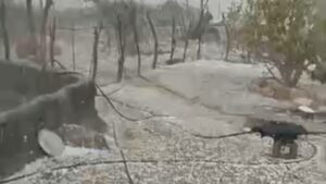 خسارت بارش تگرگ در بخش احمدی حاجی آباد