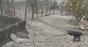 خسارت بارش تگرگ در بخش احمدی حاجی آباد