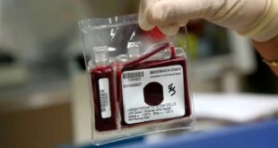 ذخیره موفق ۴۲۰۰ نمونه خون بند ناف نوزاد در هرمزگان برای درمان بیماری‌های خاص