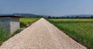 ۸۹۰ کیلومتر جاده بین مزارع در استان هرمزگان احداث شده است - خبرگزاری مهر | اخبار ایران و جهان