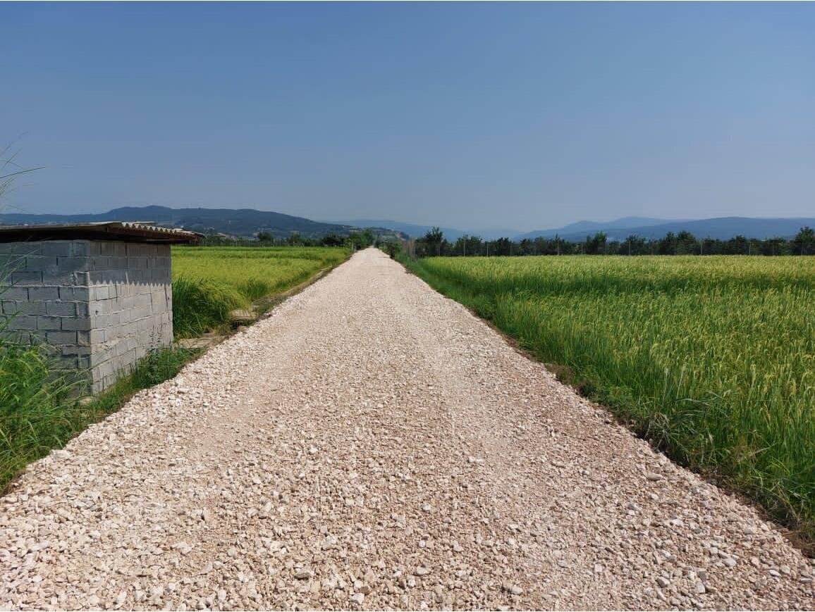 ۸۹۰ کیلومتر جاده بین مزارع در استان هرمزگان احداث شده است - خبرگزاری مهر | اخبار ایران و جهان
