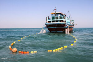 طاهری نسب: صید میگوی هرمزگان از دهم مهرماه آغاز می‌شود - خبرگزاری مهر | اخبار ایران و جهان