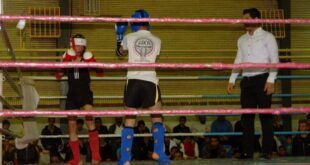 نگهبانان بی‌طرفی در میادین ورزشی