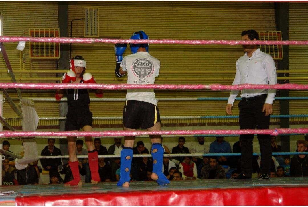 نگهبانان بی‌طرفی در میادین ورزشی