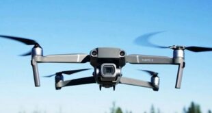 کشف بیش از ۷۰۰ دستگاه ریز پرنده قاچاق در هرمزگان - خبرگزاری مهر | اخبار ایران و جهان