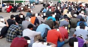 جمع آوری بیش از ۱۰۰۰ تبعه بیگانه غیرمجاز و معتاد متجاهر در زاهدان - خبرگزاری مهر | اخبار ایران و جهان